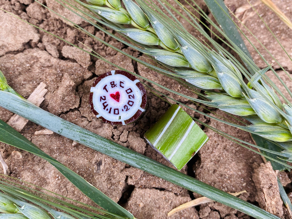 Australia You Beauty!